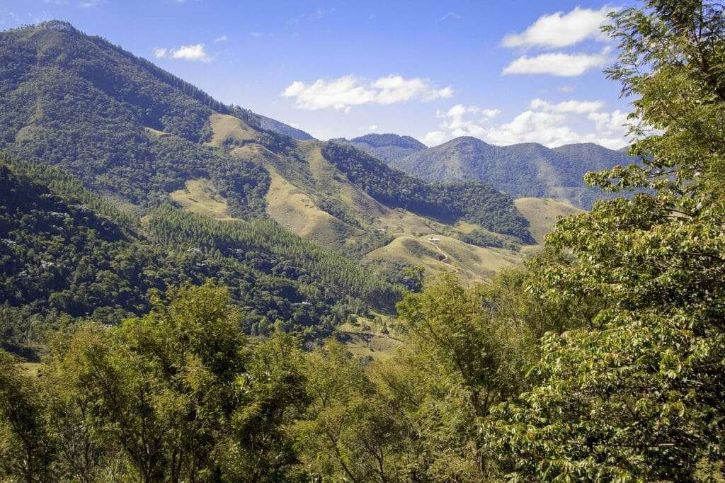 O que fazer em gonçalves