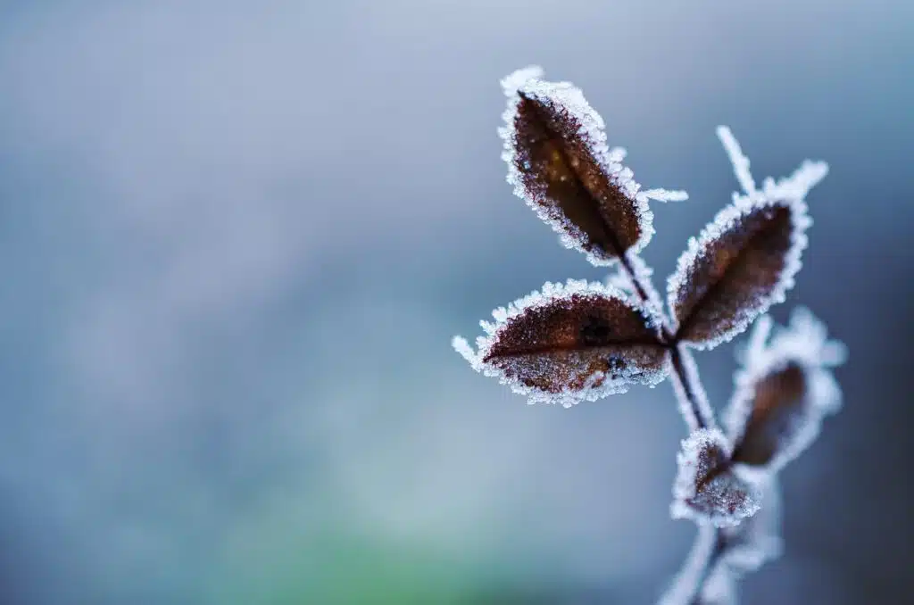 Quando começa o inverno 2025? Veja datas, previsões e como se preparar - Foto: Pixabay